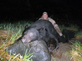 Black Bear 2013 - Black Bear 2013
