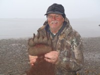 Brown Bear 2012 - Brown Bear 2012 - 12