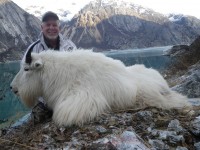 Mountain Goat 2014