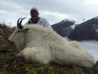 Mountain Goat 2014 - Mountain Goat 2014