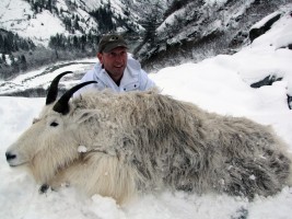 Mountain Goat 2011 - Mountain Goat 2011