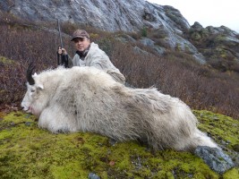 Mountain Goat 2011 - Mountain Goat 2011