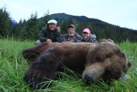 Brown Bear