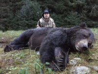 Brown Bear - 1 - 4