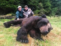 Brown Bear - Brown Bear 2017 - 4