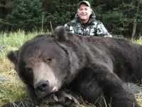 Brown Bear