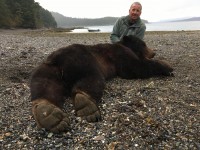 Brown Bear - Brown Bear 2018 - 3