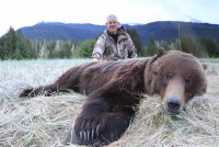 Brown Bear