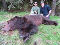 Brown Bear - Brown Bear 2015