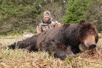 Brown Bear - Brown Bear 2015